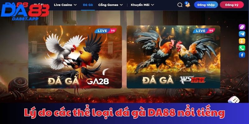 Tại sao nên cá cược đá gà tại nền tảng DA88?