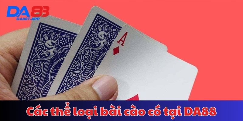 Giới thiệu 3 thể thoại bài cào thường thấy hấp dẫn nhất hiện nay