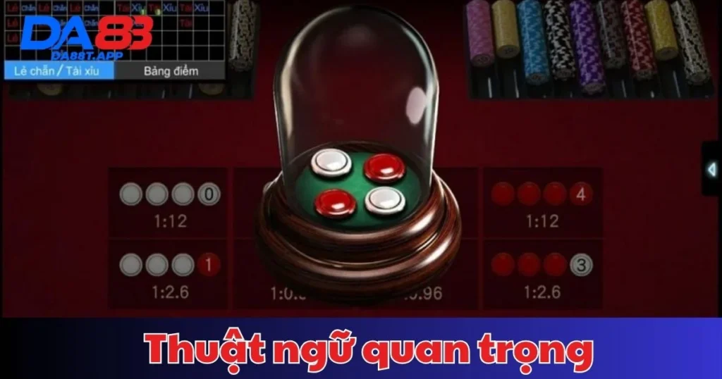 Thuật ngữ quan trọng